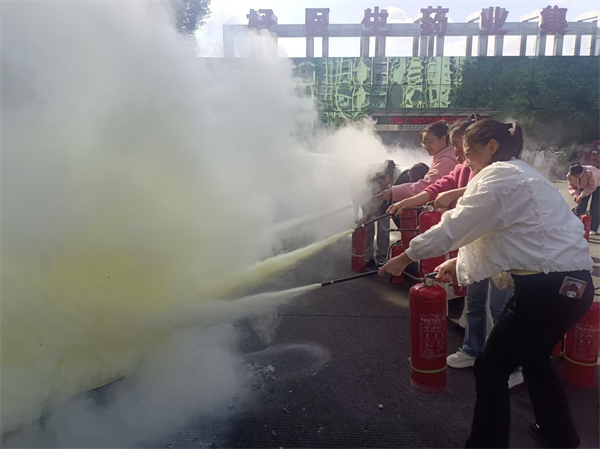 1763020172503039.jpg 2.jpg